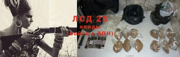 индика Беломорск