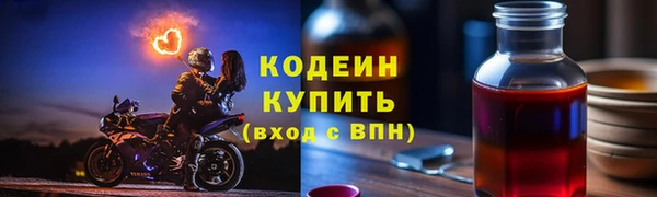 индика Беломорск