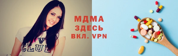 индика Беломорск
