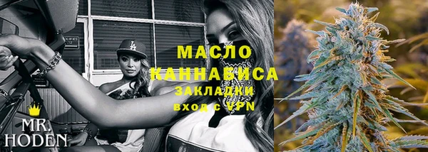 индика Беломорск