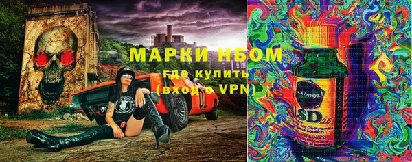 индика Беломорск