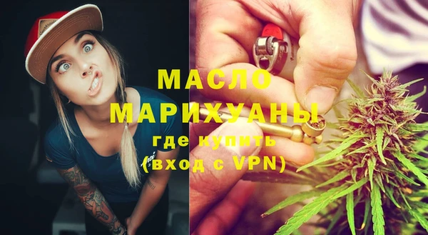 индика Беломорск
