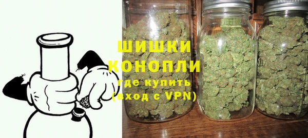 индика Беломорск