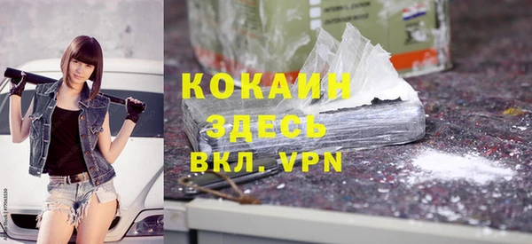 индика Беломорск