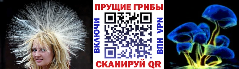 МЕГА ТОР  Бугульма  Псилоцибиновые грибы ЛСД  что такое наркотик 